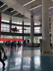 -天津市儿童医院(北辰龙岩院区)