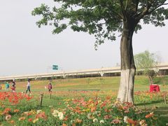 -秀丽东方