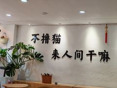 -李小姐の猫咖啡馆(五角场店)
