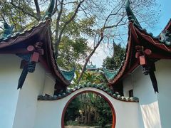 -桂湖森林公园