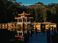 -深圳仙湖植物园