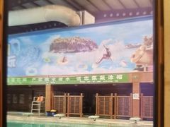 -南宫温泉水世界