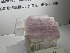 -湖南省地质博物馆