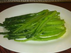 广式菜心-云中小雅