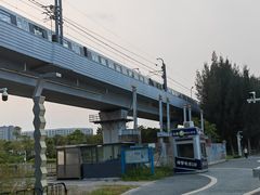 -宝安西湾红树林湿地公园