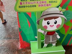 -杭州浪浪浪水公园