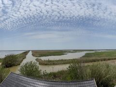 -盐城丹顶鹤湿地生态旅游区
