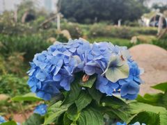 -人民公园(罗湖区)