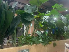 -云海肴·汽锅鸡·云南菜(曲江大悦城店)