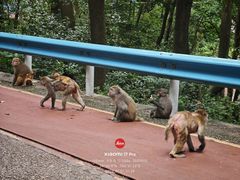 -黔灵山公园-南门售票处