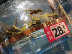 -蜀滋香鲜鱼美蛙火锅(339店)