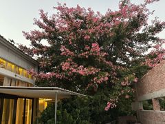 -凤阁楼果木烧鹅(鹤山陈山店)