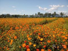 -北京东方普罗旺斯薰衣草庄园