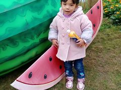 -黄龙溪欢乐田园