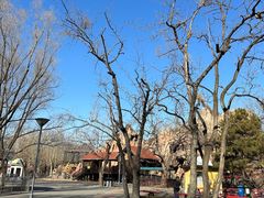 -朝阳公园游乐园