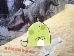 -恐龙探索乐园(磁器口店)