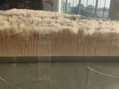 -东营胜利机场