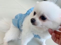 -怪兽屋·羊驼·猫咖·狗咖(俊华广场店)