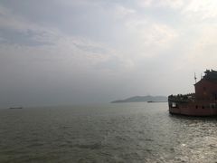 -合肥滨湖国家森林公园