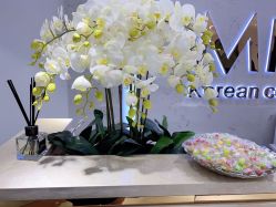 -MIVI野生眉纹绣纹眉