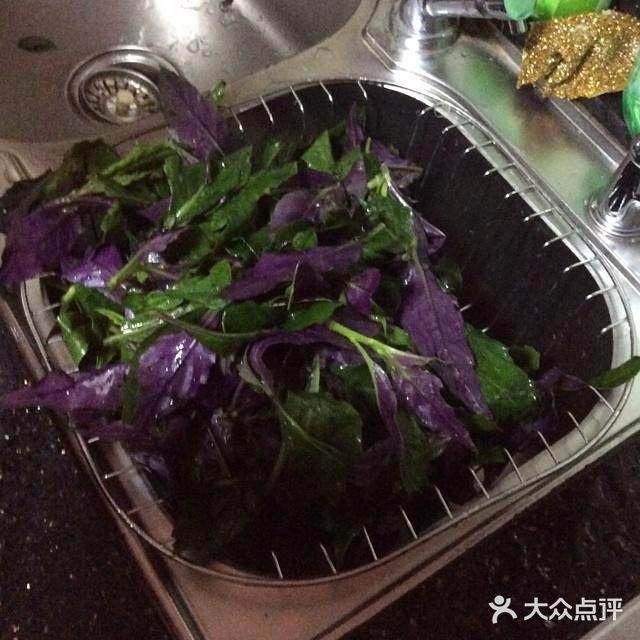 爸爸菜之有颜色的凉拌血皮菜