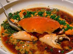 葱油蒸红膏蟹-玫瑰厅上海菜(兴国路店)