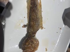 -金谷园饺子·烧烤(人大总店)