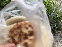 -眼镜粑粑