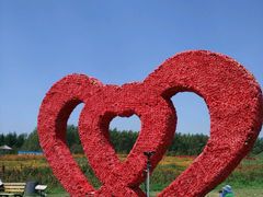 -北纬44度·金珠花海休闲农业旅游景区