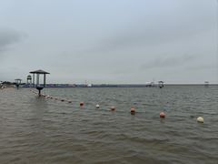 -碧海金沙