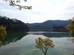 -凤岗南门山森林公园