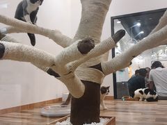 -袖虎·猫馆(体育西路店)