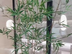 -绿茶餐厅(龙湖杭州金沙天街店)