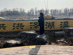 -泗洪洪泽湖湿地景区