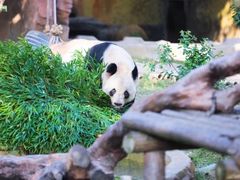 -常州淹城野生动物世界