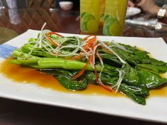 -草根堂农场