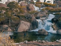 -罗红摄影艺术馆