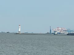 -吴淞炮台湾湿地森林公园烧烤区