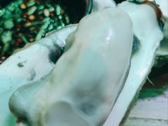 -七裕庄(凯旋南路店)