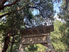 -泰山风景名胜区