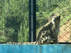-青藏高原野生动物园