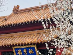 -桃花堤公园