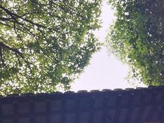 -我嘉书房(南翔名士居店)