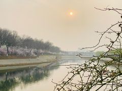 -桃花堤公园