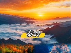 -秦岭风景区