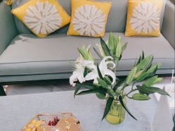 -静博士·养生养颜