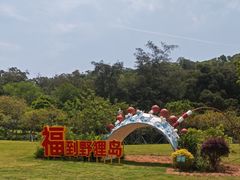 -野狸岛