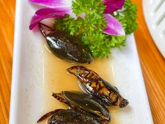 -美未居·老字号·地道顺德菜·桑拿鸡·鱼生(容桂店)