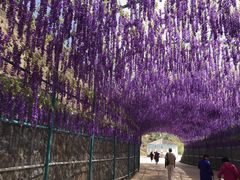 -桑干河大峡谷旅游区