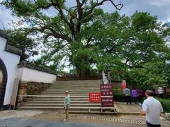 -新安江山水画廊风景区